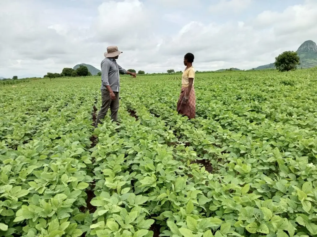 WhatsApp Image 2025-02-17 at 23.05.03