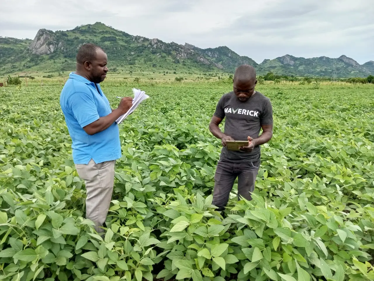 Agrorural - ao serviço do agricultor