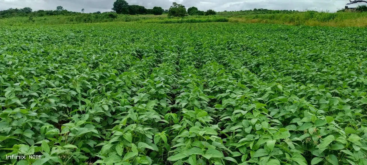 Agrorural - ao serviço do agricultor