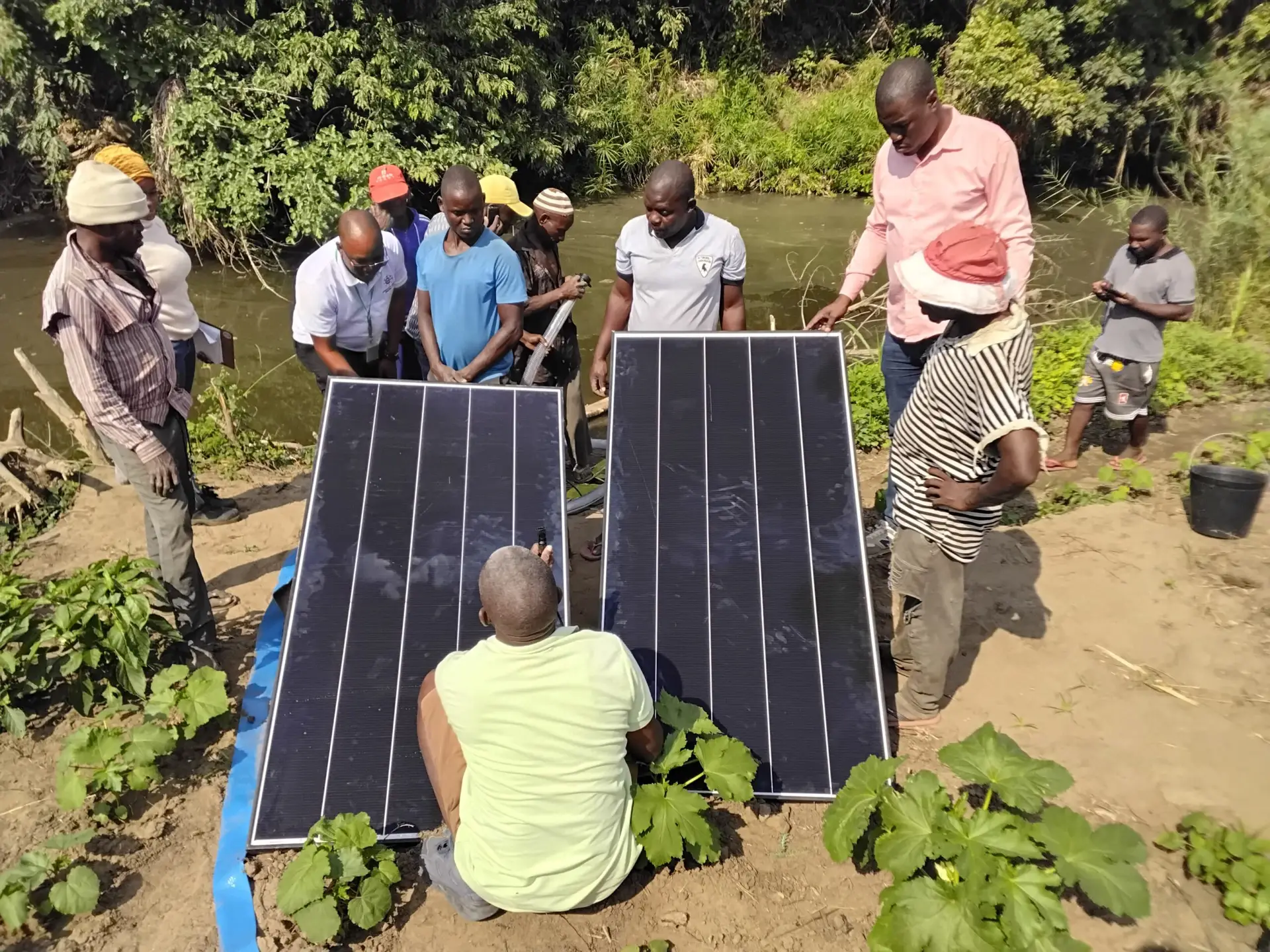 Agrorural - ao serviço do agricultor