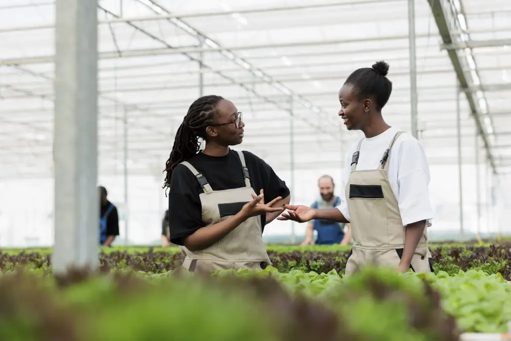 Happy farm workers discussing healthy sustainable negative co2 footprint environmentally conscious ways to grow organic green lettuce crops. Modern entrepreneurial eco friendly greenhouse