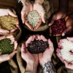 Agrorural - ao serviço do agricultor